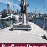 Jersey City, New Jersey Marina Boat Removal