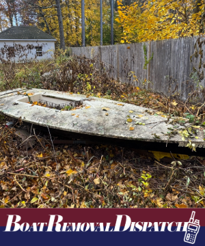 MA Small Vessel Removal