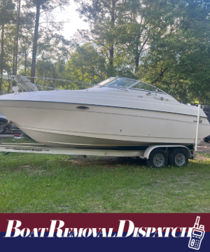 Vessel Removal in Georgia