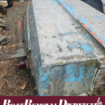 Washington State Boat Dumpers
